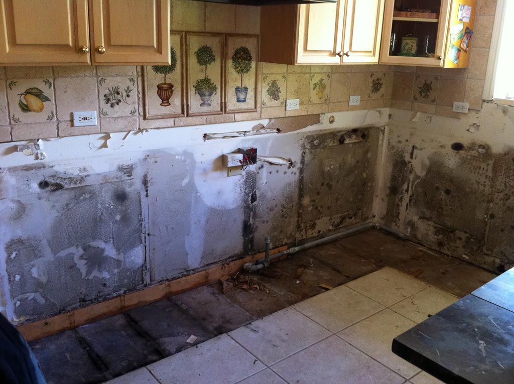 Kitchen Mould Removal Services